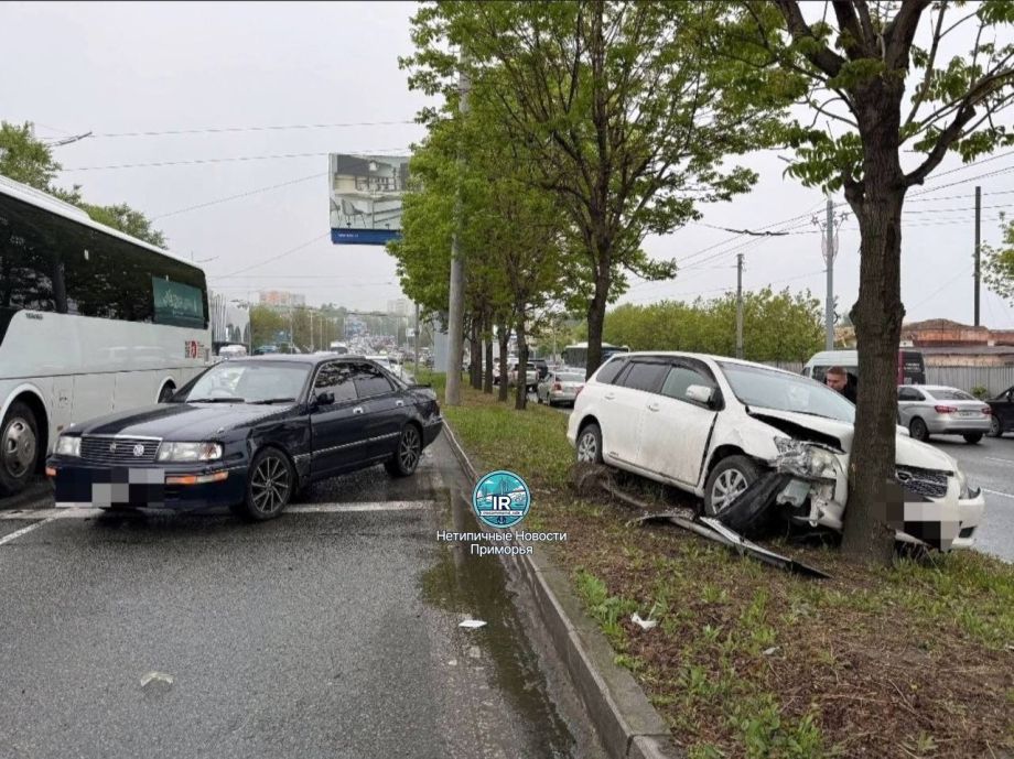 Подрезал и влетел в дерево: подробности ДТП во Владивостоке