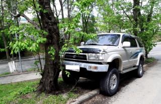 Фото: vlc.ru | Владивостокцам напомнили о штрафах за парковку в зонах зеленых насаждений