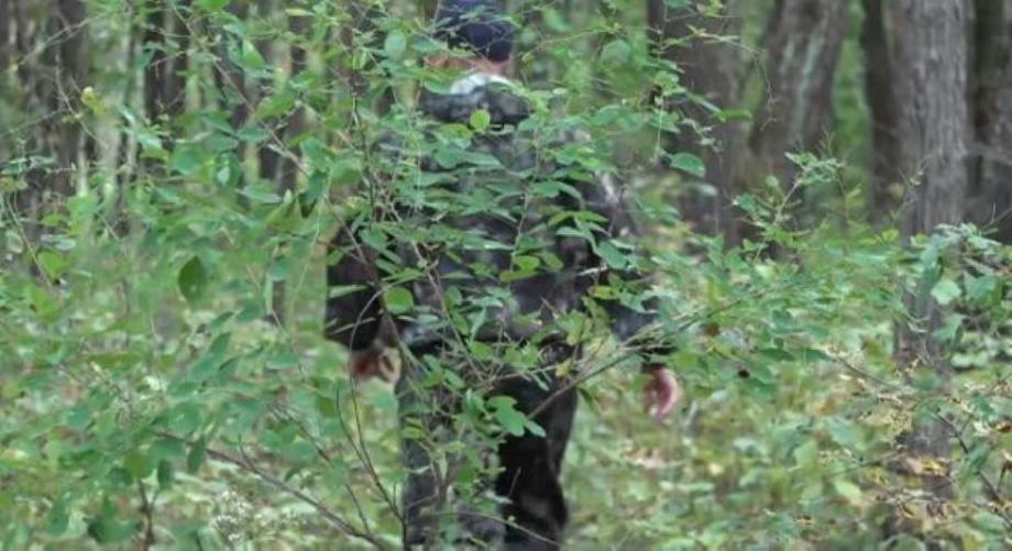 Искали всю ночь: полицейские спасли из леса трех жительниц Приморья
