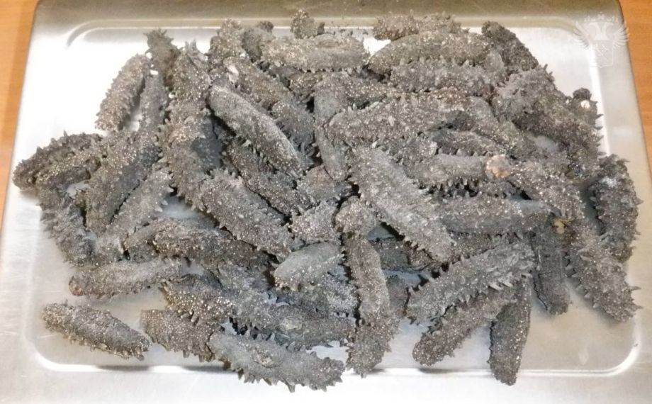 Трепанг в ботинках и трусах. Таможенники обнаружили крупную партию контрабанды