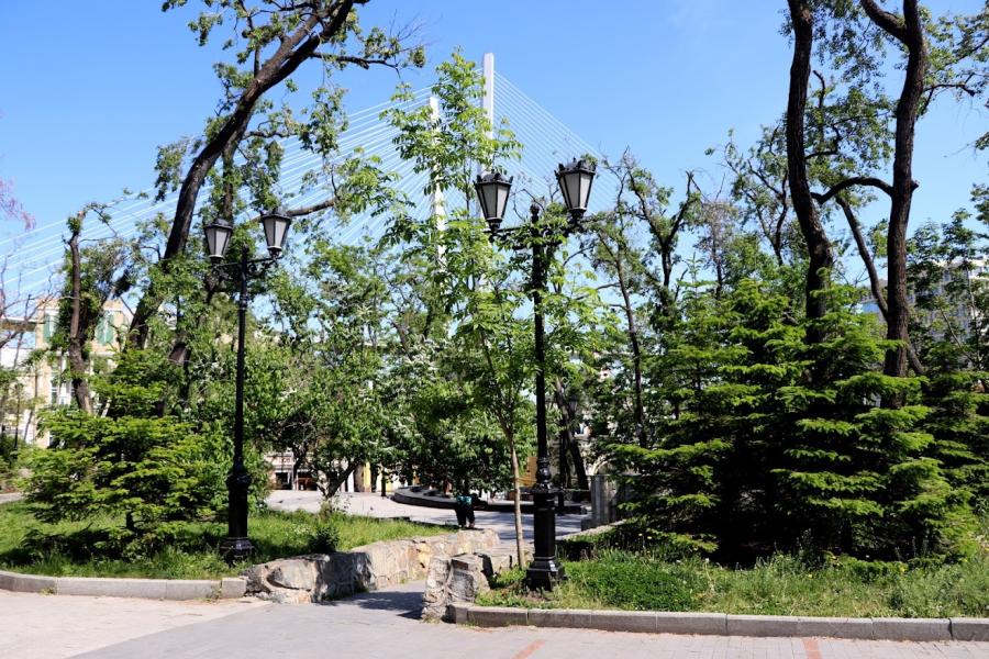 Во Владивостоке обработают от вредителей деревья и кустарники