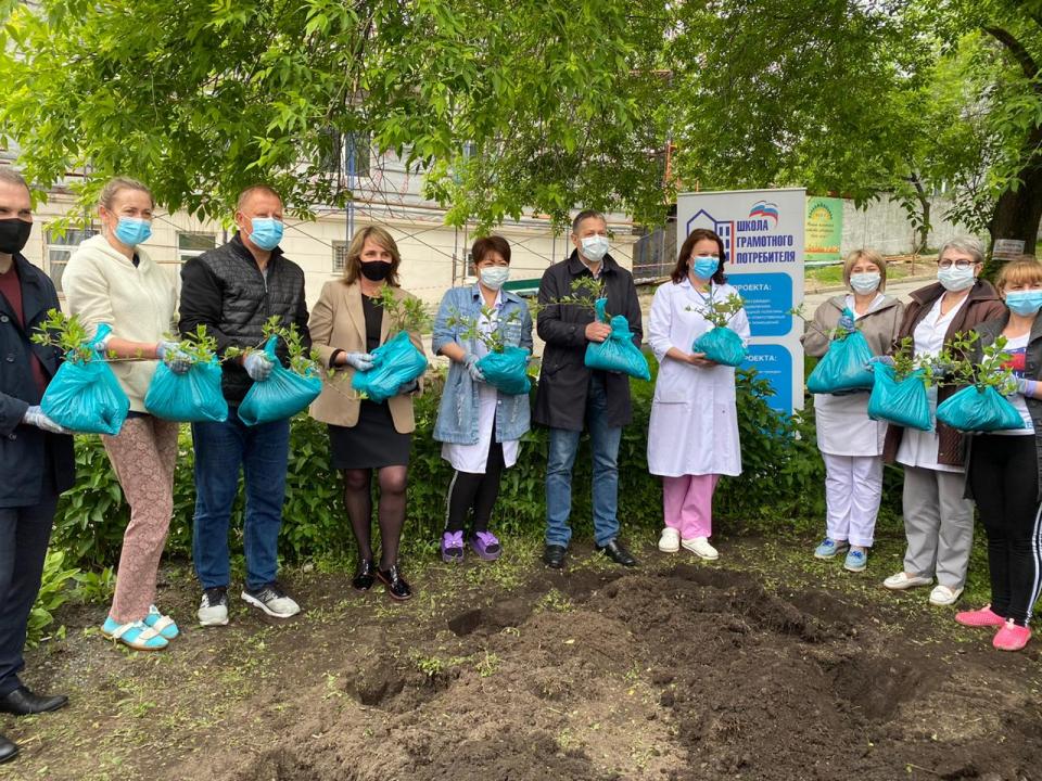 Единороссы высадили гортензии возле COVID-госпиталя во Владивостоке