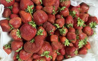 Приморская клубника вытеснила китайскую с рынков Владивостока