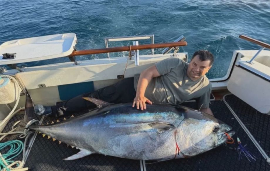 Гигантские тунцы ушли из Средиземного моря и приплыли во Владивосток