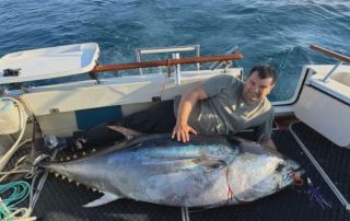 Гигантские тунцы ушли из Средиземного моря и приплыли во Владивосток