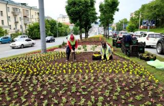 Фото: МКУ «Зеленый Владивосток» | Во Владивостоке создаются новые цветники