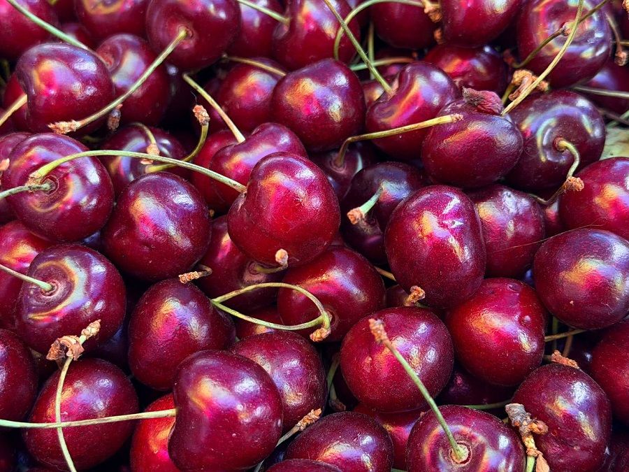 Сезон черешни во Владивостоке: где купить, сколько стоит, насколько вкусно