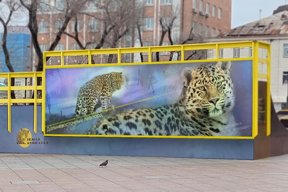 Фото: нацпарк «Земля леопарда» | Новое масштабное граффити с леопардом может появиться в центре Владивостока