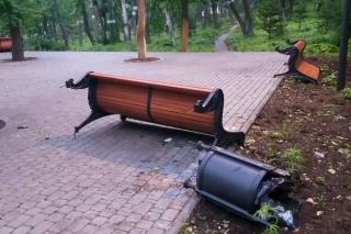 Фото: Дирекция общественных пространств | Видео: владивостокцам показали, что случилось в Покровском парке
