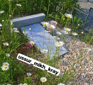 «Ничего святого нет»: неизвестный вандал осквернил могилы на кладбище в Приморье‎