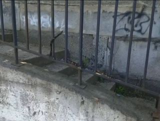 Змеи заполонили дворы и дома Владивостока