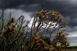 Синоптики: в середине июля придет небывалая аномалия