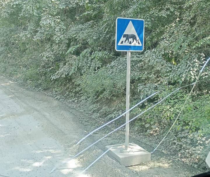 Уступи дорогу тигру: дорожный знак с изображением полосатого хищника появился в Приморье