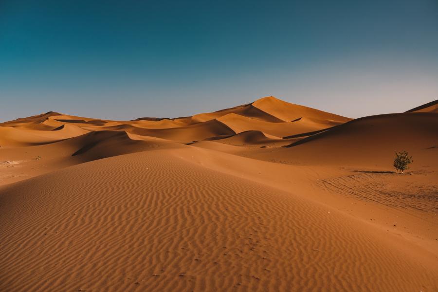 Фото: freepik.com | Названы регионы мира, которые могут превратиться в пустыню