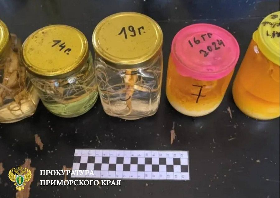 Приморские суды разбираются в «типично дальневосточных» делах