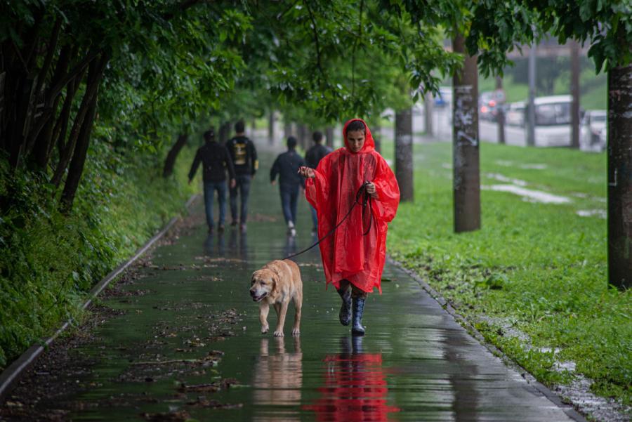 Фото: Елена Буйвол | Интенсивные дожди вновь обрушатся на Приморье на этой неделе