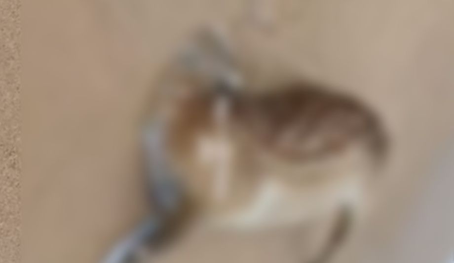 Страшную находку обнаружили на одном из популярных пляжей Приморья