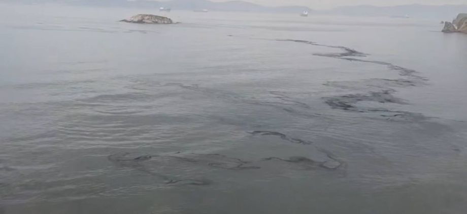 Японское море стало «чёрным» у берегов Врангеля в Приморье