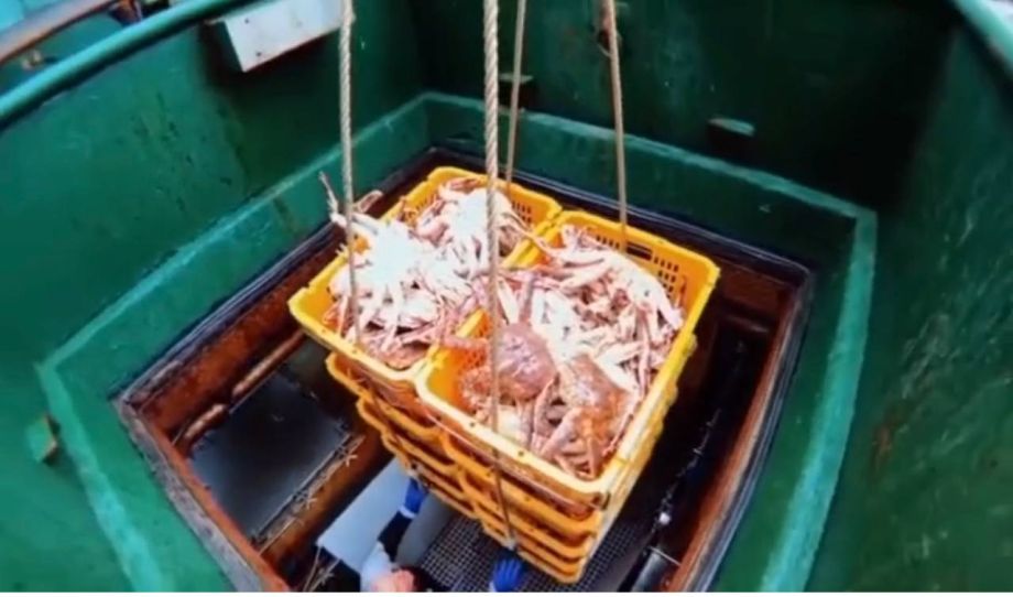 Экс-директора компании по добыче биоресурсов обвиняют в крупной контрабанде во Владивостоке