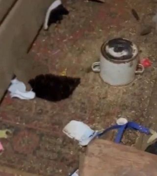 В Приморье прокуратура взяла на контроль детали гибели животных в частном доме