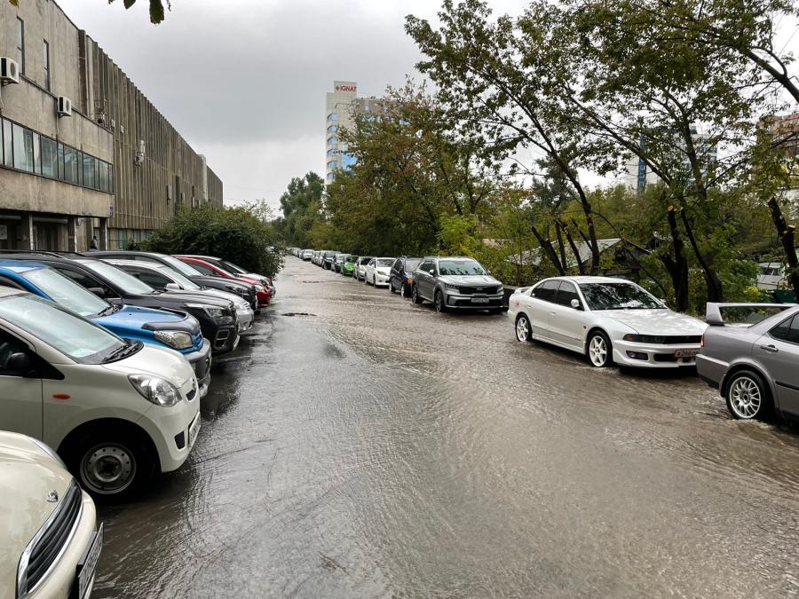 Фото: PRIMPRESS | Дожди и +28 °C: синоптики рассказали о погоде на сегодня в Приморье