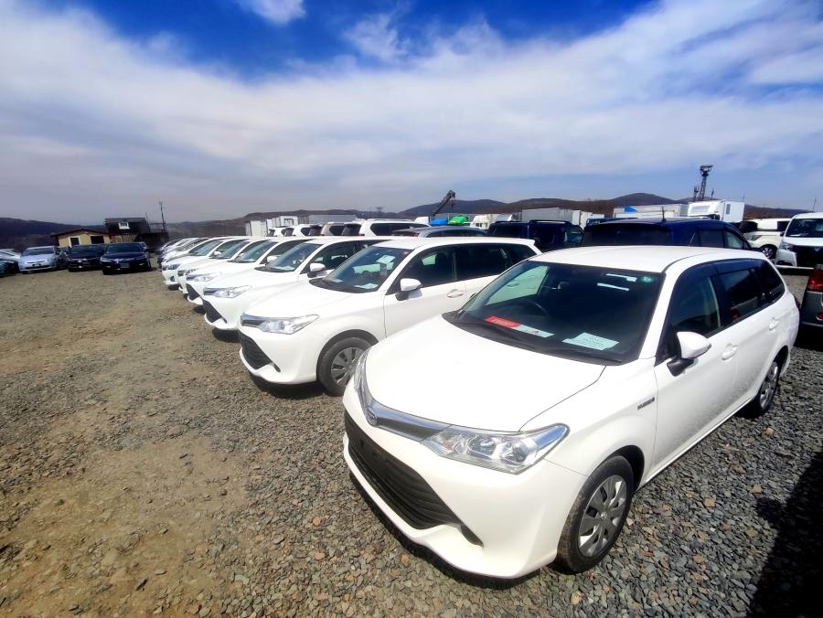 Фото: PRIMPRESS | Названы семь японских авто, которые будут работать вечно