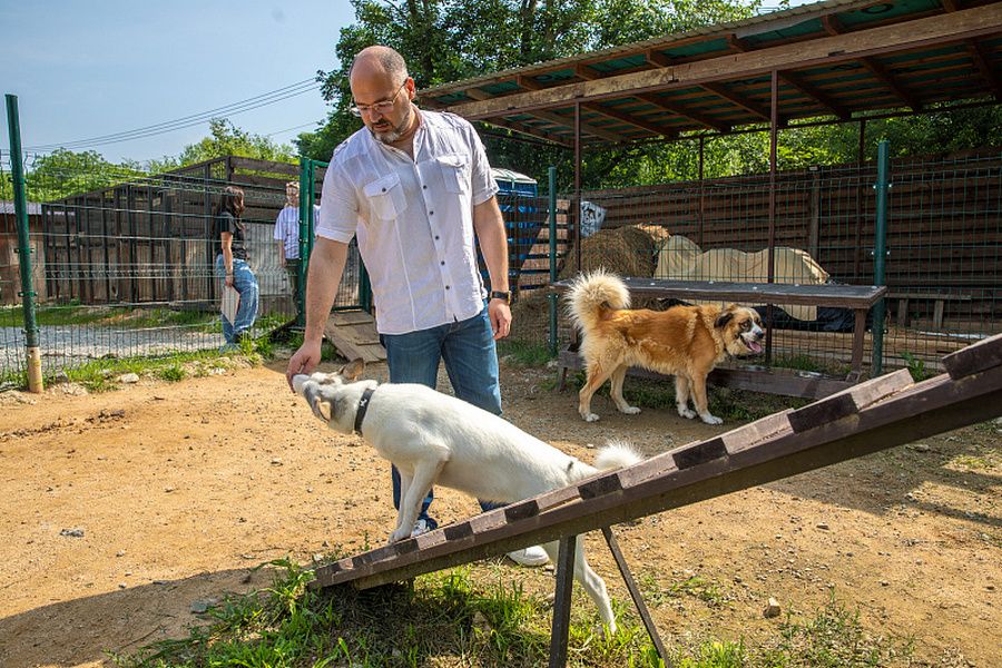 Константин Шестаков привез корм для подопечных фонда бездомных животных «Друг Рич»