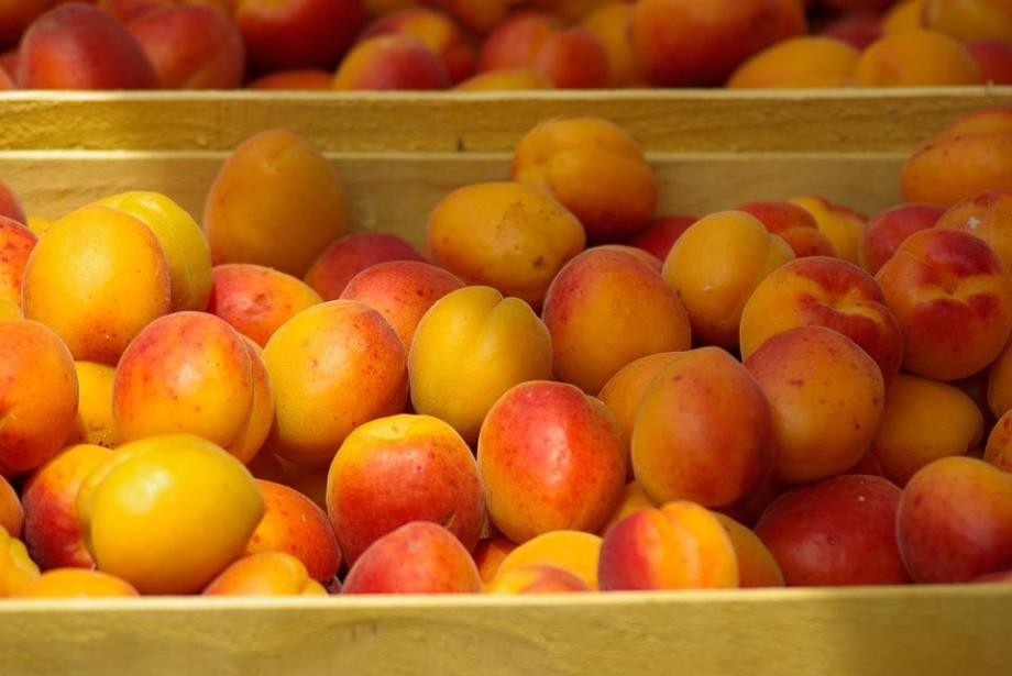 Фото: pixabay.com | Россиянам рассказали, кому нельзя есть персики
