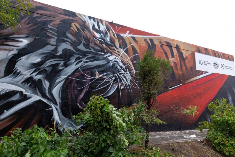«Тигриное» граффити создали для жителей и гостей столицы России