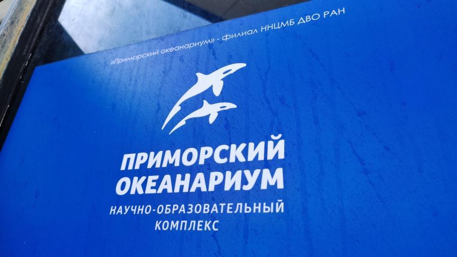 Фото: PRIMPRESS | Дельфинарий Владивостока возобновляет работу, несмотря на нарушения