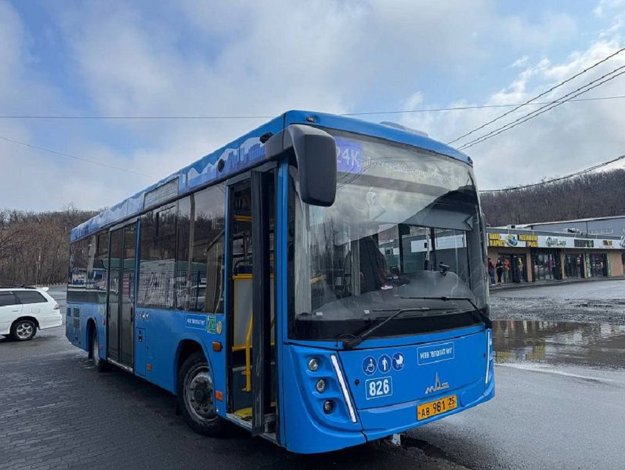 Утром 1 августа Владивосток лишился пяти автобусных маршрутов: что известно