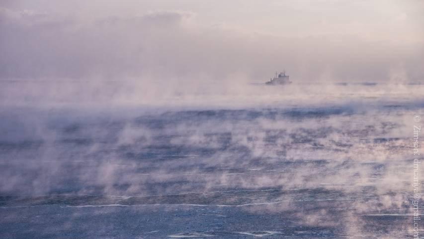 Фото: Дмитрий Болотин | «Весь берег в мазуте»: в акваторию приморского пляжа вылилось топливо