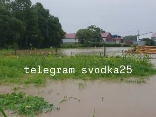 Затоплены дома и огороды: приморское село ушло под воду в результате ливней