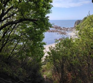 Семья с ребёнком заблудилась в лесу в Приморье