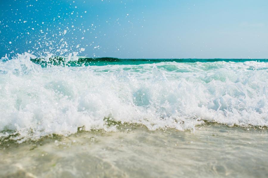 Фото: pixabay.com | «Акулы вас услышали»: невероятное произошло на популярном пляже Приморья