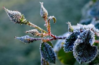 «Сентябрь будет самым странным в XXI веке». Синоптики дали неожиданный прогноз