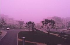 Фото: Instagram/dream_ti.em | Розовый закат во Владивостоке взорвал соцсети