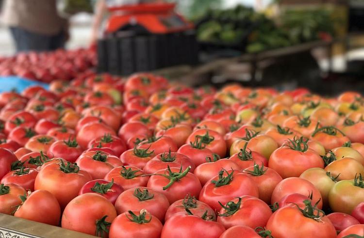 В Приморье вдвое увеличился урожай помидоров