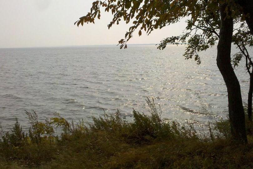 «Первый раз такое вижу»: что произошло с озером Ханка, сняли на видео в Приморье