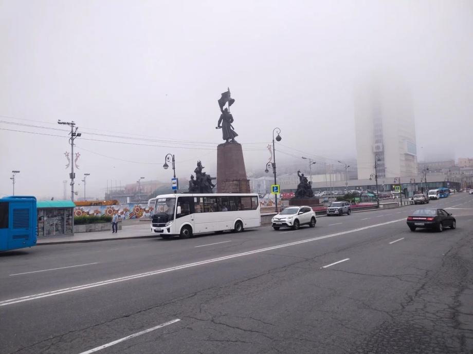 Фото: PRIMPRESS | «Прямо на площади». Жителей Владивостока возмутил поступок мужчины в центре города