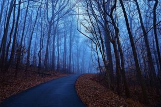 «В ноябре случится самое страшное». Синоптики сказали, к чему готовиться