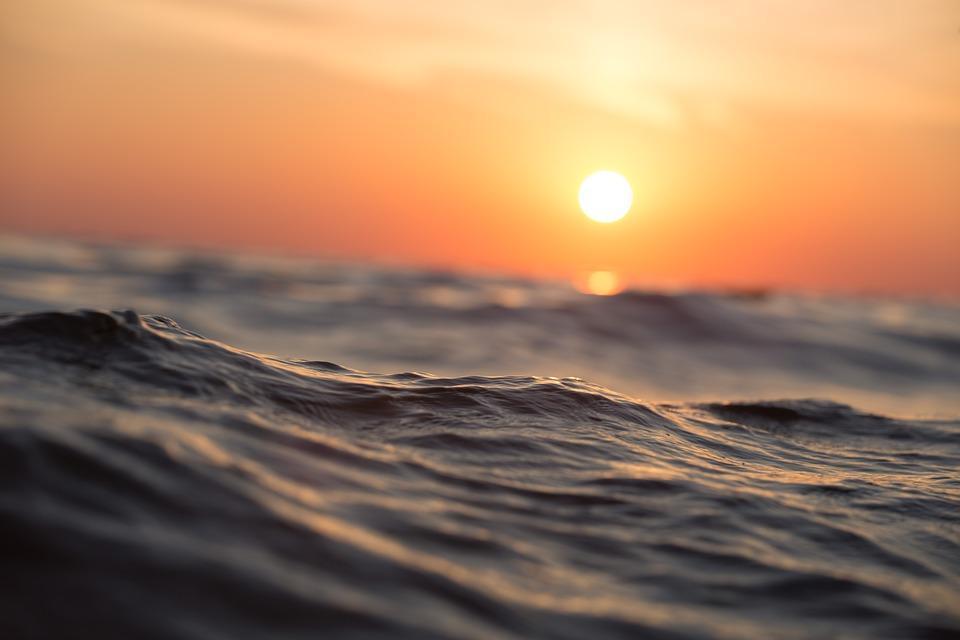 Фото: pixabay.com | «Отдыхающие в шоке»: ЧП на популярном пляже Приморья сняли на видео