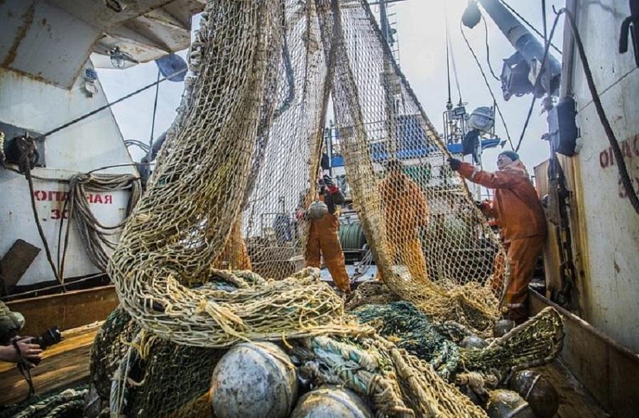 Фото: primorsky.ru | Рыбаки из Приморья поймали самую ядовитую рыбу