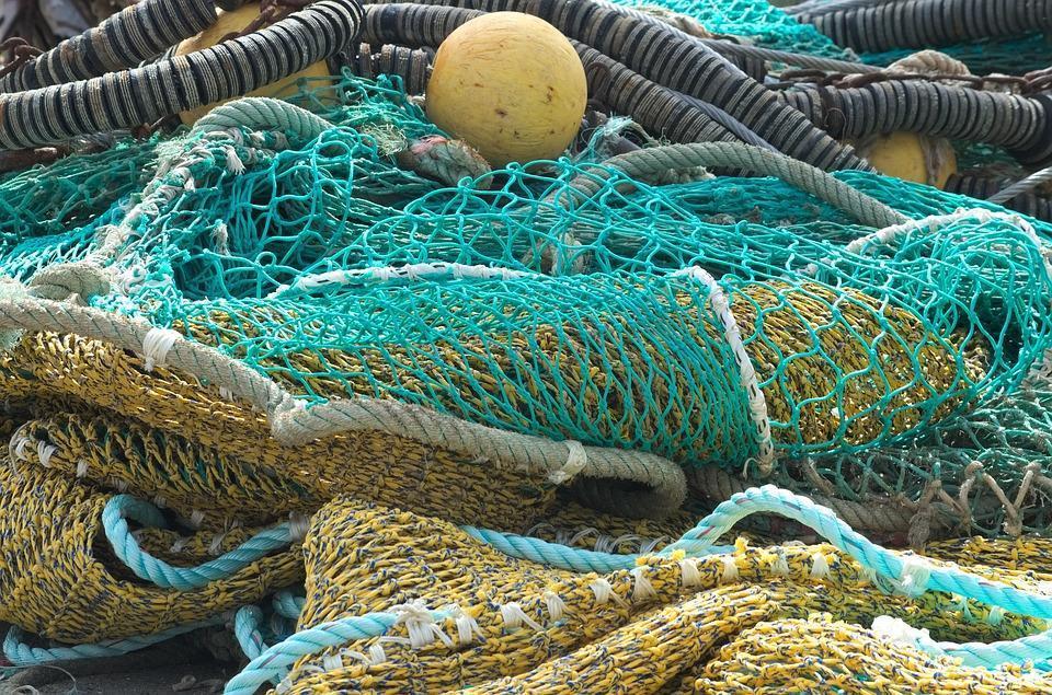 Фото: pixabay.com | Приморские рыбаки увеличили вылов камбалы