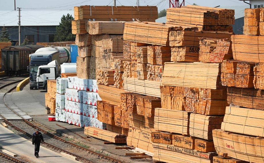 Замешана власть: контрабанду древесины на сумму свыше 3,6 миллионов рублей пресекли в Приморье