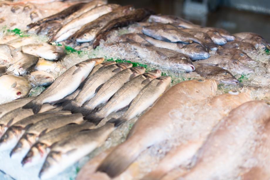 Фото: freepik | Цена рухнула. Какой вид рыбы подешевел аж на 60% на Дальнем Востоке