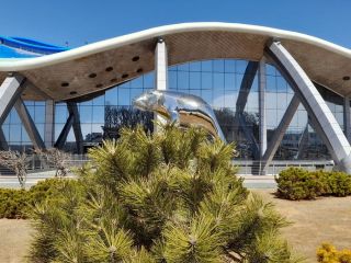 Благоустройство территории Приморского океанариума обойдётся в 57 миллионов