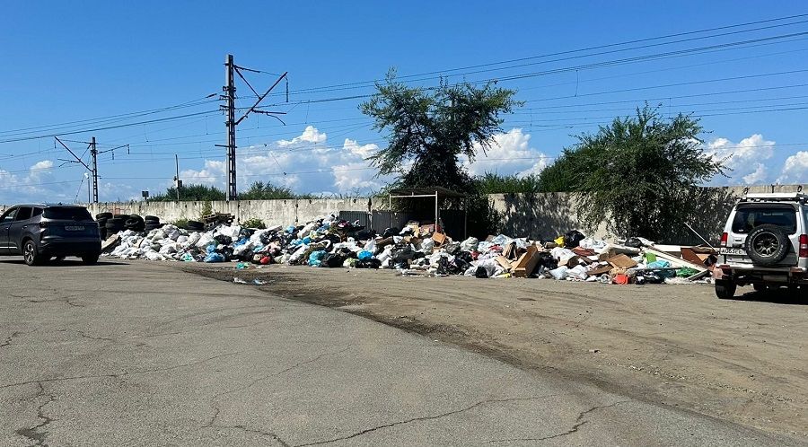 Горы мусора скопились вдоль дороги из аэропорта Владивостока к месту проведения ВЭФ