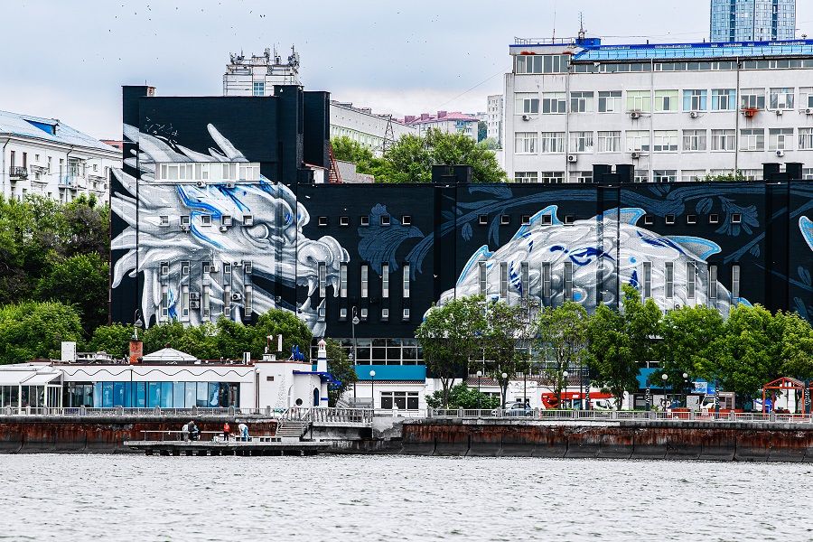 Владивосток раскрашенный: новые и старые муралы приморской столицы
