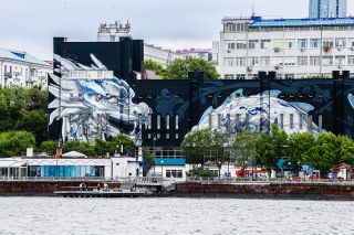 Владивосток раскрашенный: новые и старые муралы приморской столицы